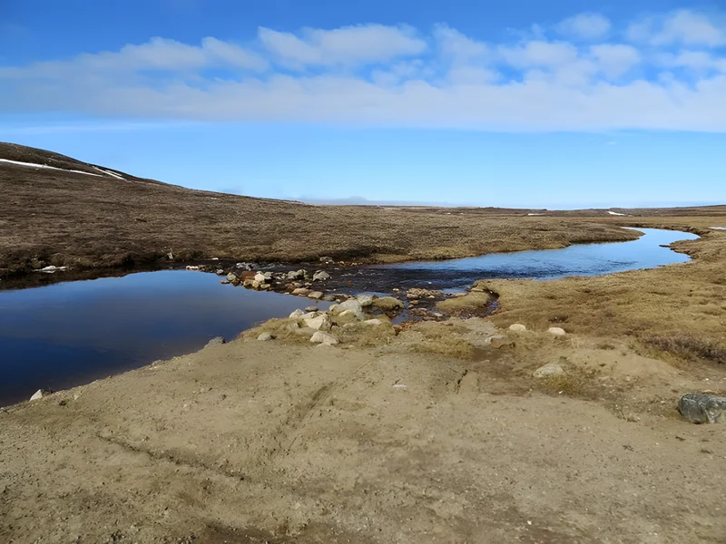 Day 18 Almost a permanent resident of Pond Inlet, Jun 17, 2014
