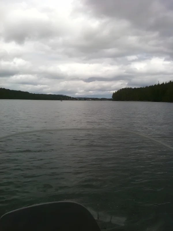 A few photos, Jun 30, 2010